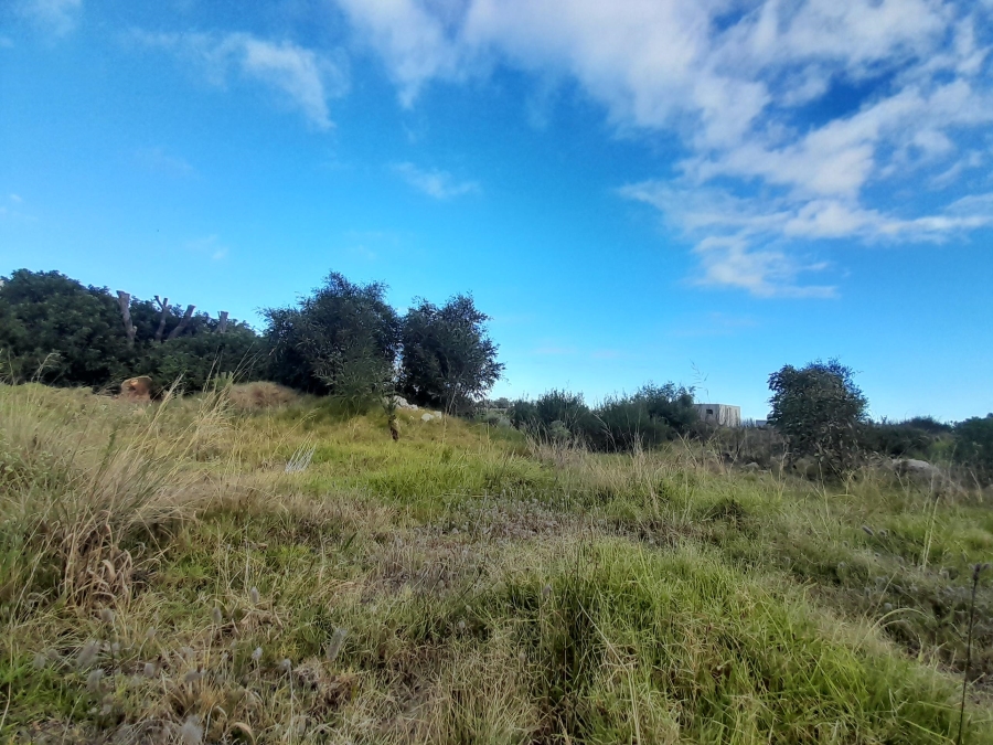 0 Bedroom Property for Sale in Bettys Bay Western Cape
